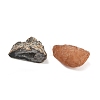 Natural Geode Agate Druzy Agate Display Decorations DJEW-I014-01A-01-3