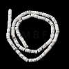Natural Howlite Beads Strands G-Z089-A02-4