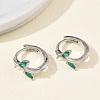 Brass Micro Pave Cubic Zirconia Hoop Earrings for Women EJEW-A167-12P-2