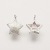 925 Sterling Silver Charms STER-K029-12MS-1