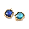 304 Stainless Steel Rhinestone Pendants STAS-P453-06G-M-2