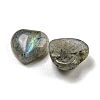 Natural Labradorite Cabochons G-H309-01-07-2