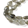 Natural Labradorite Beads Strands G-K357-A14-01-4