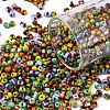 8/0 Glass Seed Beads X-SEED-S006-M-1