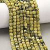 Natural Yellow Turquoise(Jasper) Beads Strands G-F797-A23-01-1