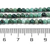 Natural Chrysocolla Beads Strands G-P514-A03-02-A-2