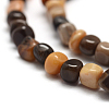 Natural Petrified Wood Beads Strands G-F465-20B-3