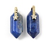 Natural Lapis Lazuli Double Terminal Pendants GG-CBA4154-07G-04-1