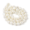 Electroplated Shell Pearl Beads Strands BSHE-M036-02A-2