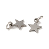 Non-Tarnish 201 Stainless Steel Charms STAS-E217-25B-P-2