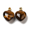 Natural Tiger Eye Perfume Bottle Pendants G-Z039-03G-05-1