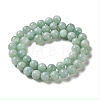 Natural Glass Beads Strands G-A313-A01-8mm-3