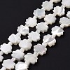 Natural Trochid Shell Beads Strands SSHEL-G023-09B-2