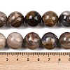 Natural Petrified Wood Beads Strands G-L648-A03-16mm-02-6
