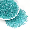 3/0 Baking Paint Glass Fringe Seed Beads SEED-A034-04H-3