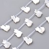 Natural White Shell Mother of Pearl Shell Beads SSHEL-L018-014-1