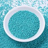 MIYUKI Delica Beads SEED-MY11-DB0658-2