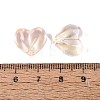 Transparent Glass Beads DGLA-N022-02G-4