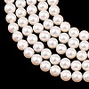 Electroplated Shell Pearl Beads Strands BSHE-C011-01A-3