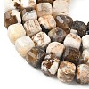 Natural Petrified Wood Beads Strands G-C267-A06-4