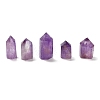 (Defective Closeout Sale: Broken Corners) Natural Amethyst Home Decorations G-XCP0001-17-1