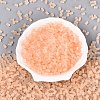 FGB Frosted Transparent Glass Seed Beads X-SEED-N013-05A-03-2