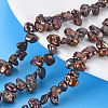Natural Keshi Pearl Beads Strands PEAR-S021-028B-3