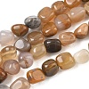 Natural Petrified Wood Beads Strands GG-CBA9392-31-2