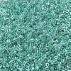 MIYUKI Delica Beads SEED-JP0008-DB0238-1