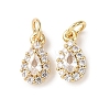 Brass Micro Pave Cubic Zirconia Charms RB-I077-15G-RS-1