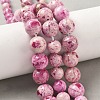 Natural Fossil Graduated Beads Strands G-F830-A03-01-2
