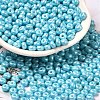 Baking Paint Luster Glass Seed Beads SEED-B001-04A-03-1