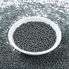 MIYUKI Round Rocailles Beads SEED-JP0008-RR0021-2