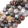 Natural Botswana Agate Beads Strands G-G453-A01-10mm-2