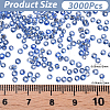 3000Pcs Glass Seed Beads SEED-PA0001-29A-02-2