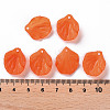 Transparent Frosted Acrylic Pendants MACR-S371-01A-726-4