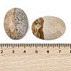 Natural Picture Jasper Cabochons G-Q186-01E-3