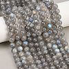 Natural Labradorite Beads Strands G-L654-O02-8mm-1