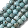 Natural Larimar Beads Strands G-B156-A01-8mm-3