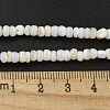 Dyed Natural Freshwater Shell Beads Strands BSHE-G039-07N-4