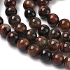 Natural Tiger Eye Beads Strands G-F591-18-8mm-07-7