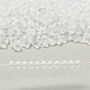 MIYUKI 3.4mm Drop Beads X-SEED-MY04-DPF22-5