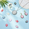 18Pcs 6 Colors Natural Shell Cabochons with Enamel BSHE-PH0001-66-4