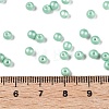 Glass Seed Beads SEED-T007-01M-4