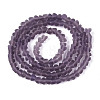 Frosted Transparent Glass Beads Strands GLAA-N016-4mm-02-2