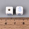 Handmade Porcelain Beads PORC-N012-13B-3
