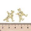 Real 18K Gold Plated Brass Micro Pave Cubic Zirconia Pendants KK-L209-063G-02-3