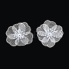 Spray Painted Iron Bead Caps IFIN-N013-05D-1
