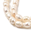 Natural Cultured Freshwater Pearl Beads Strands PEAR-I007-01Q-01A-4