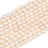 Natural Cultured Freshwater Pearl Beads Strands PEAR-F020-26A-2